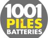 1001 Piles Batteries