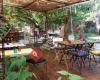 Aux 2 Moiselles - Restaurant dans un jardin