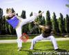 Capoeira Paris 19eme 75019 pour enfants et adultes