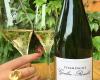 Champagne Goulin Roualet