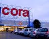 Cora