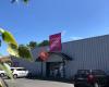 Diffus'laine tissus Bordeaux
