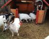 Espace Nature des Ogiers