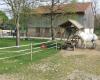 Ferme enfantine du Parc des Gondoles