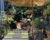 jardin de saradam