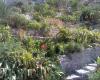 Jardin du Vallon des Auffes