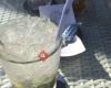 Le Bacchus