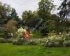 Le Jardin des Plantes