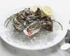 Les 3 Sardines