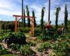 Les compagnons des saisons