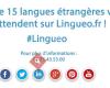 Lingueo