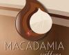 Macadamia Coiffure