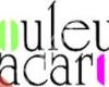 macaron