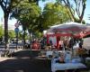 Marché du Boulevard Michelet