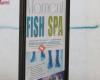 Moment Fish Spa