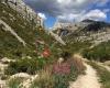 Parc de la Barasse