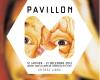 Pavillon M