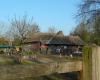 Poney Club Villeneuve d'Ascq