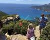 Provence Amazing Tours
