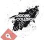 Riddim Collision