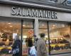 Salamander