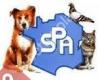 Société Protectrice des Animaux S.P.A.